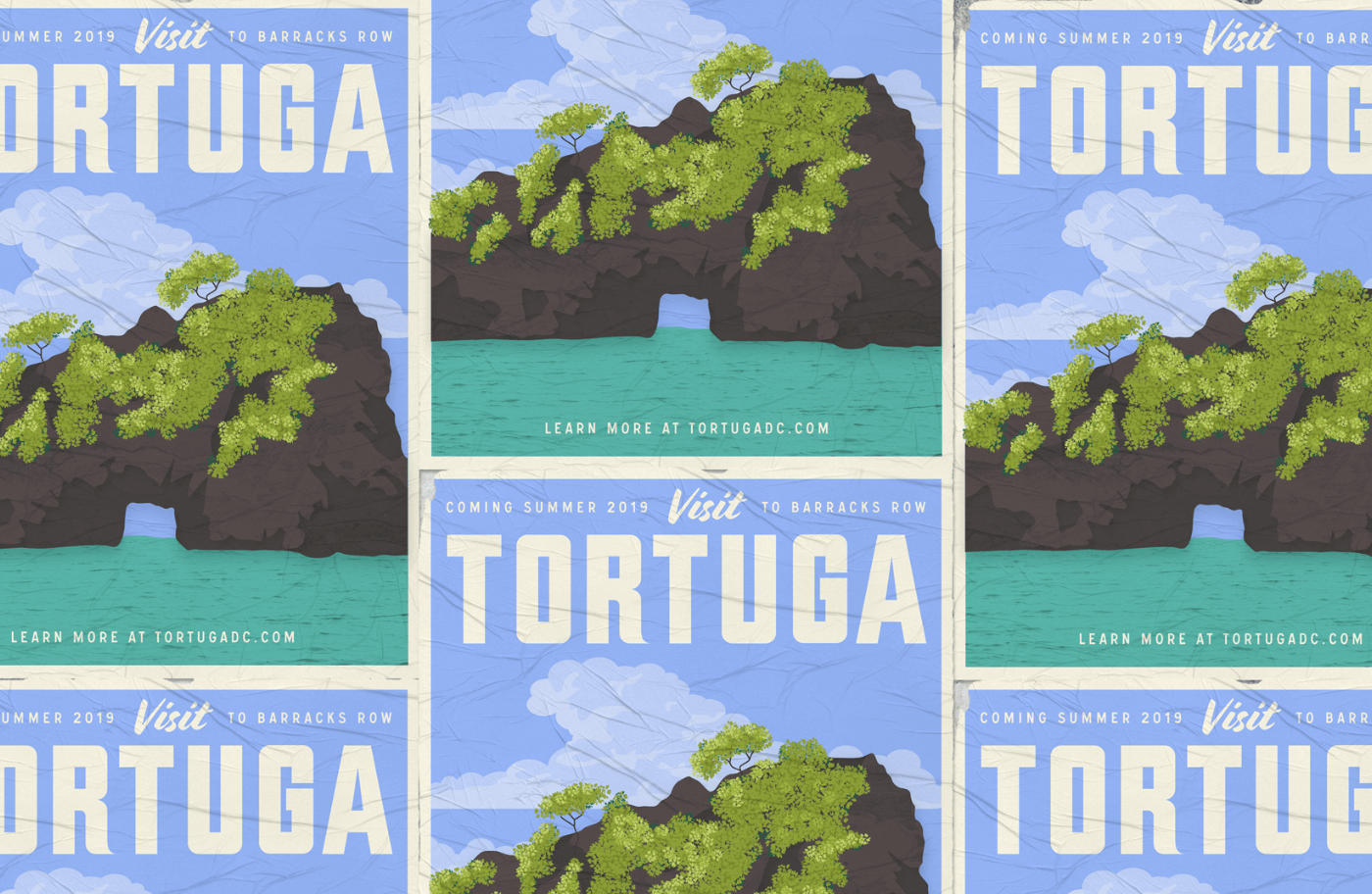 Tortuga 3
