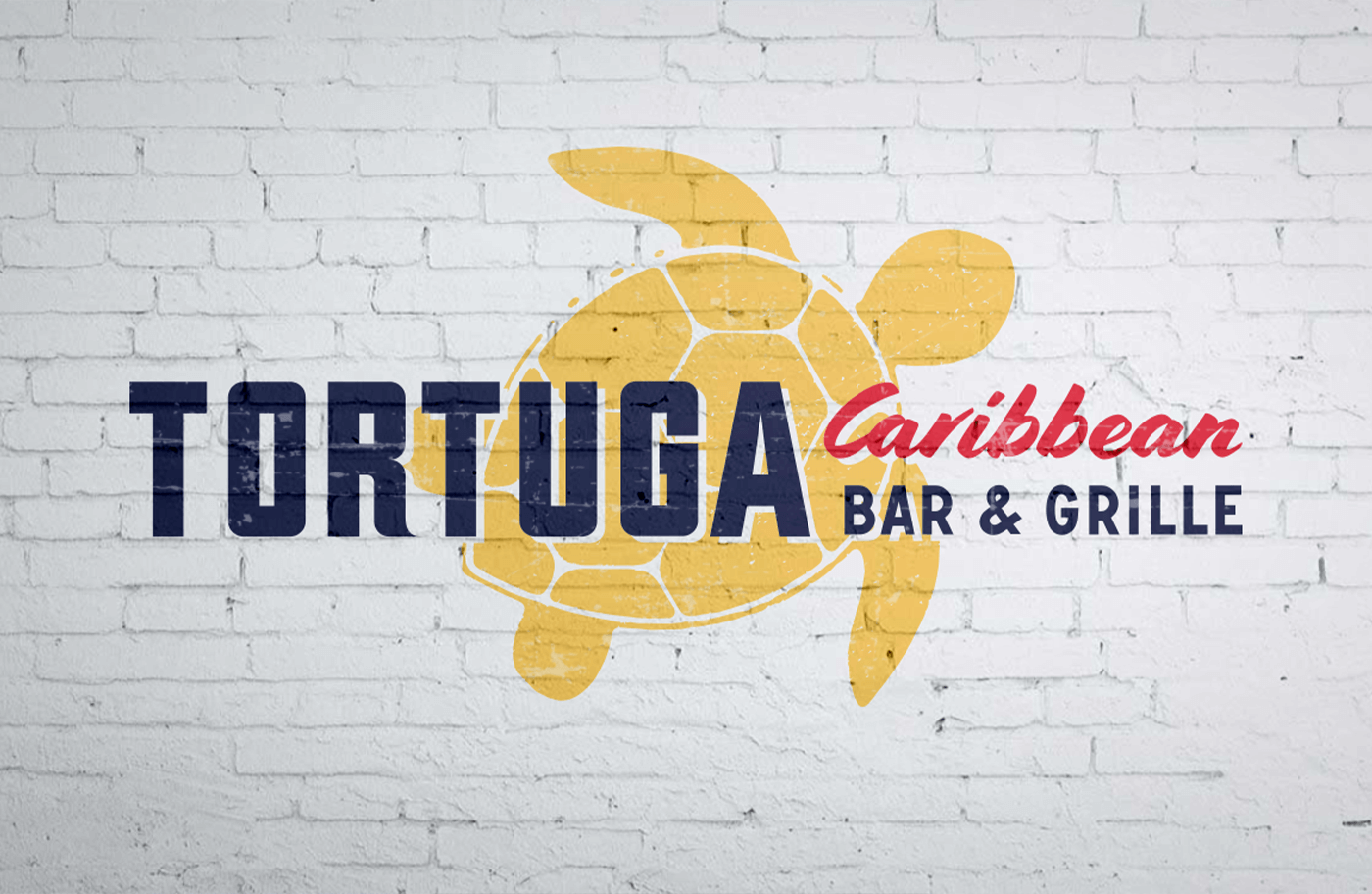 Tortuga 4