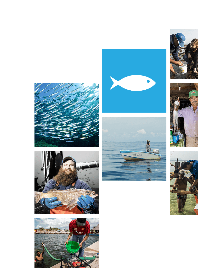 Environmental Defense Fund's Ocean Fishery Solutions Center 12