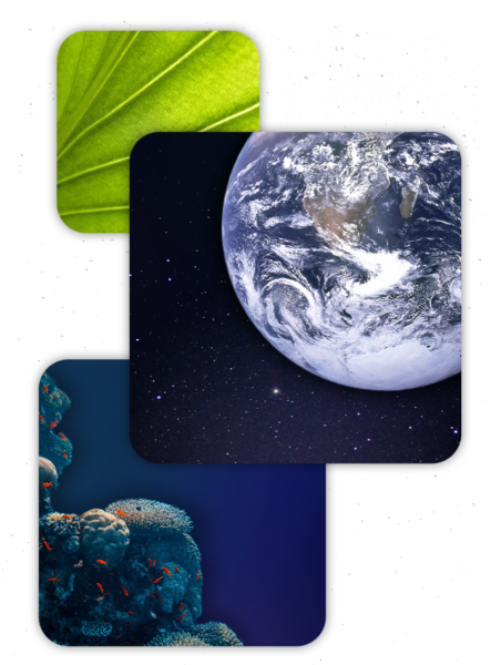 Carnegie Institute For Science 14